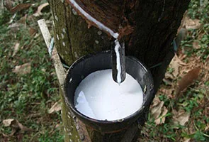 industry grade 85% formic acid as chemical cleaning agent UN NO: 1779