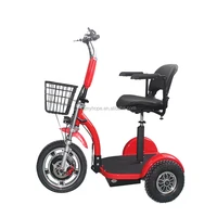 

500W48V Three Wheel Electric Zappy Scooter/Mobility Scooters/Electric bikes for adult YXEB-712