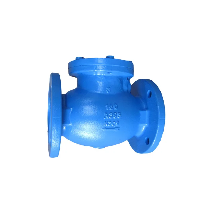 CAST IRON CHECK VALVE.jpg