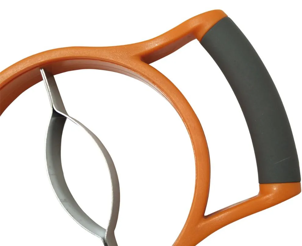 mango slicer1.jpg