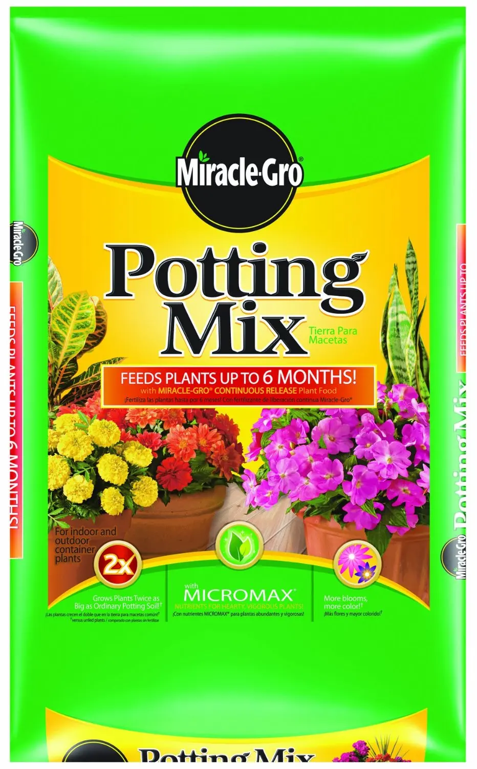 Buy Miracle-Gro Cactus, Palm and Citrus Potting Mix, 8 qt ...