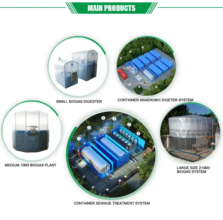 Puxin Fully Automatic Waste to Energy Biogas Power Plants