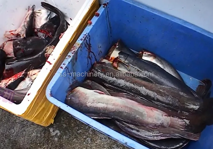 fish head cutter (2).jpg