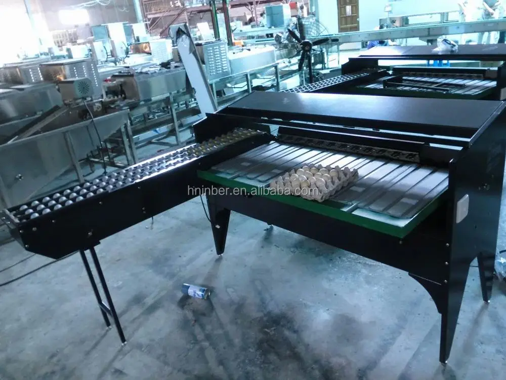 egg machine grading scale sorting equipment poultry weighing farm grader chicken cost low eggs sorter alibaba