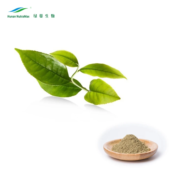 100% pure lose weight green tea extract nature green tea extract nutramax