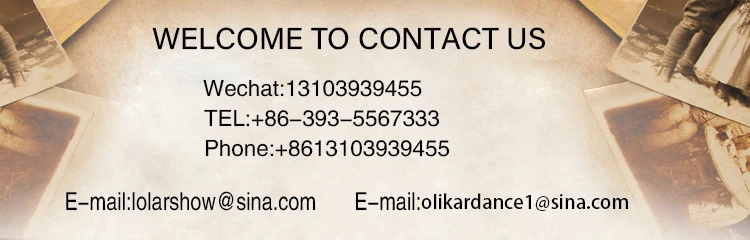 Women's Flamenco Waltz Long Sleeve Stage Dance Dress