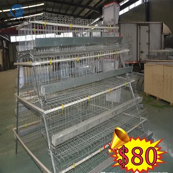 China Design Automatic Feeding Drinking 120 Layer Poultry Chicken