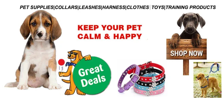 pet shop chains