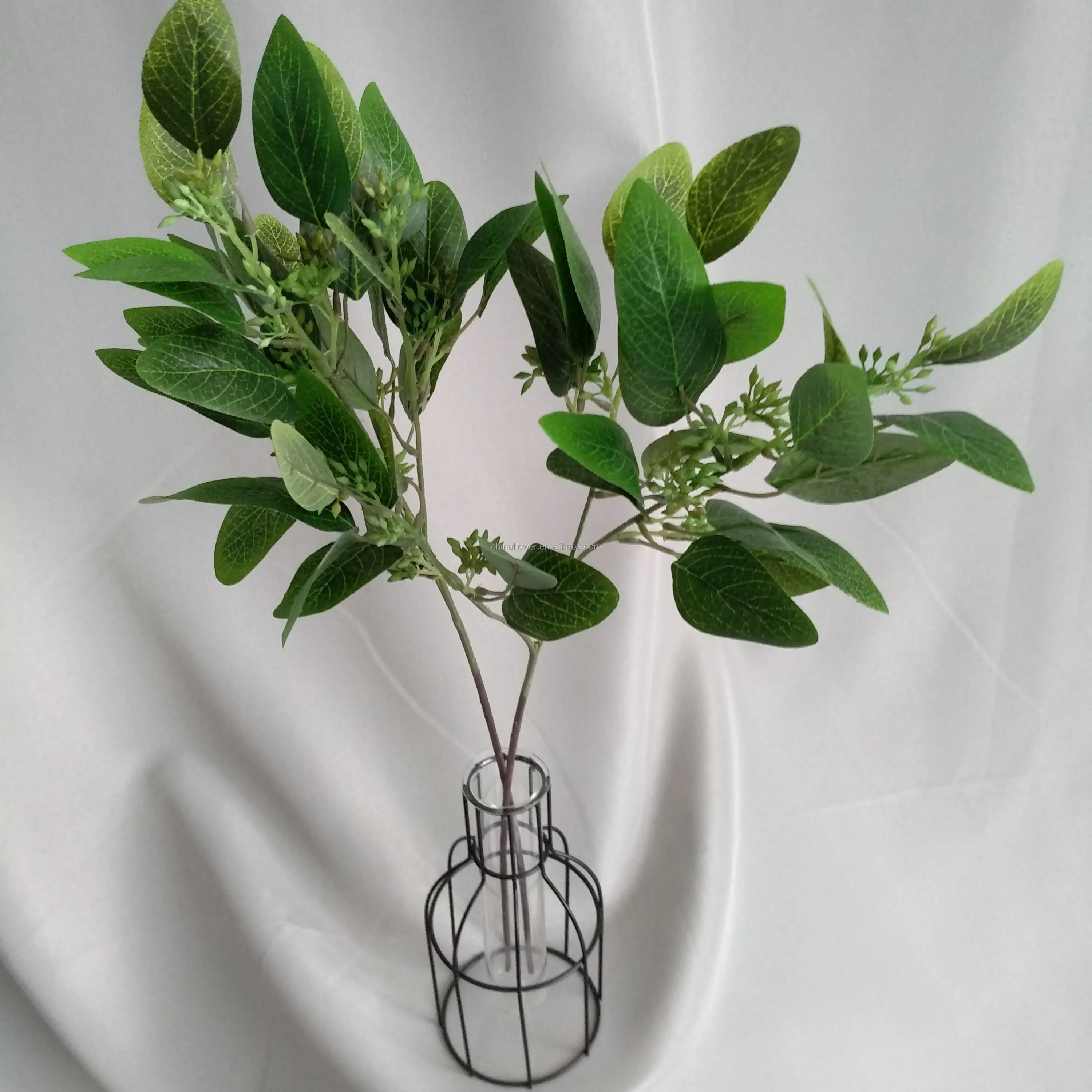 eucalyptus leaves  (2).jpg