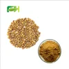 Blood Regulation Natural Fagopyrum Tataricum Extract Rutin 70%, Bitter Buckwheat Extract,Fagopyrum Tataricum Powder