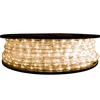 Warm White Led Rope Light Outdoor Lights Chasing Static Christmas Xmas Gardens