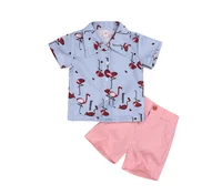 

1-5Y Kids Baby Boy Gentleman Clothing Sets Casual 2 Pcs Flamingo Print Short Sleeve Tops + Button Shorts Party boy Outfits