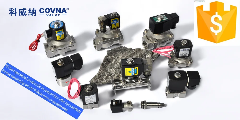 food grade plastic small solenoid valve 24v