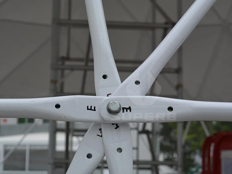 geodesic dome tent 2.JPG