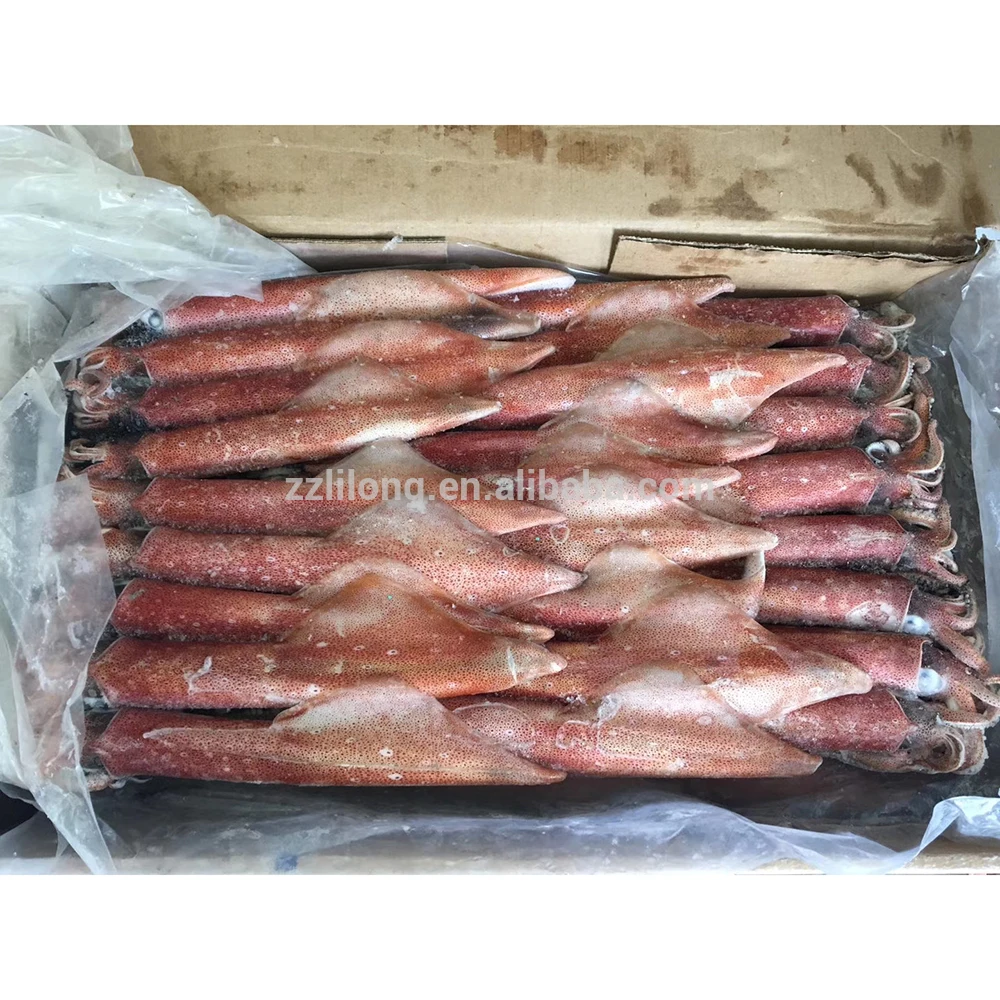 
IQF Frozen Loligo Squid 
