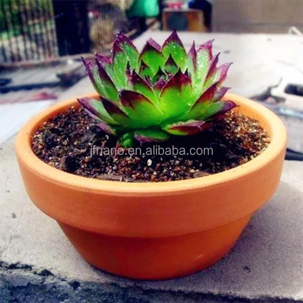 

Outdoor round ceramic terracotta plant pots wholesale