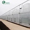 Seafood growing multi span greenhouse