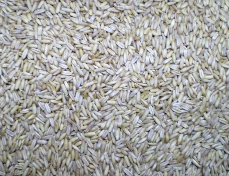 KILN DRIED HULLED OATS.jpg