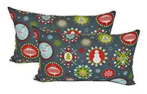 Buy Set Of 2 Indoor Cotton Decorative Lumbar Rectangle Pillows