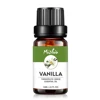 Wholesale Bulk 10ml 100% Pure Natural Organic Vanilla Essential oil