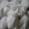 high quality Washed combed raw wool price sheep wool