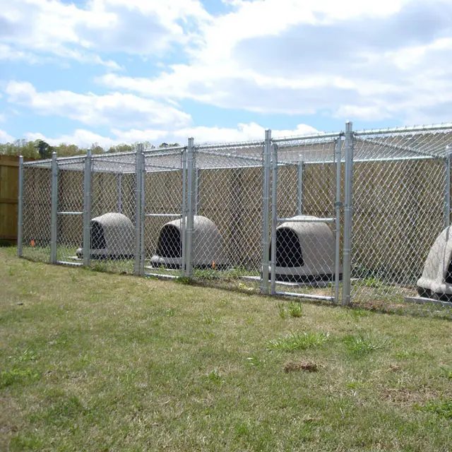 Multiple Kennels, 5-Run Shed Row Style cheap chain link multiple dog kennels.jpg