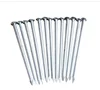 Cheap polished common nails, galvanized common nails.