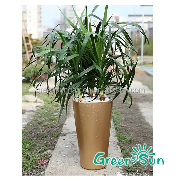 oxygens29 greensun nursery self watering system plastic pot pottery cheap china planter manufacturer lechuza