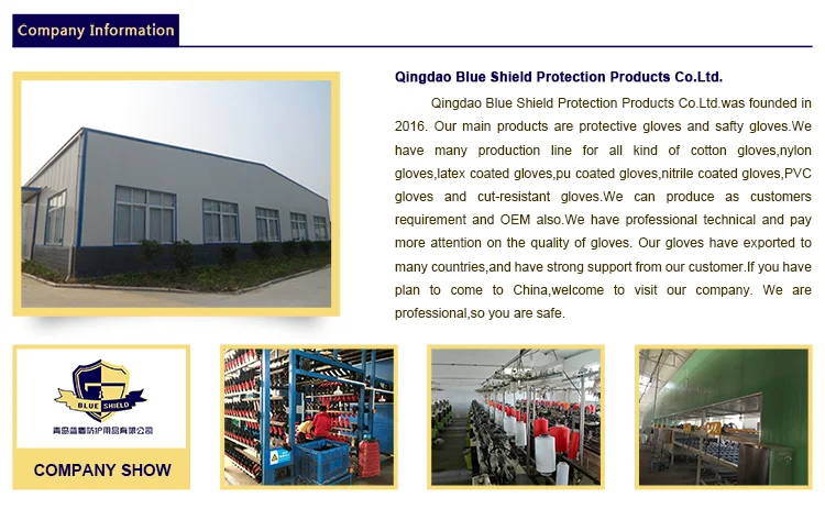 Company introduction