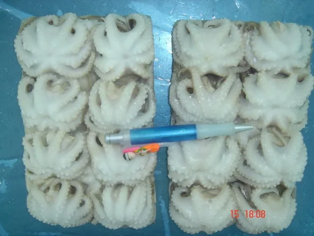 
FROZEN WHOLE CLEAN BABY OCTOPUS FROM VIET NAM 