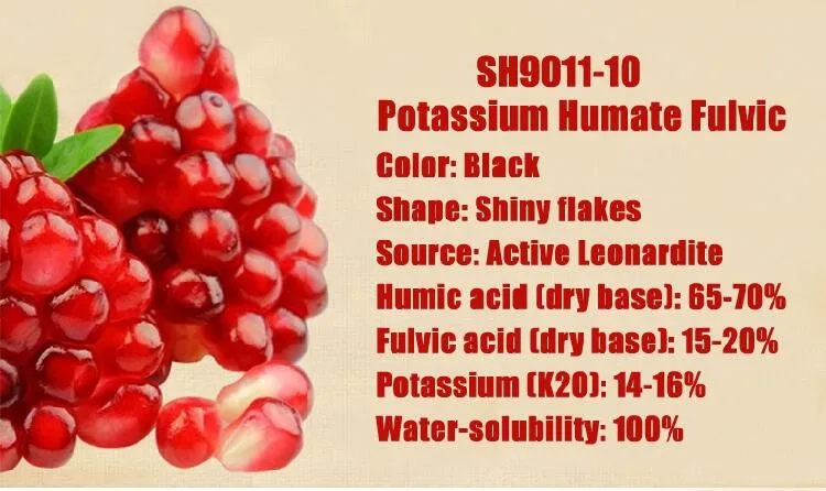 Humic Acid Fertilizer Thailand.jpg