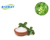 Free sample Natural Sweetener Rebaudioside A 98% Organic Stevia Extract