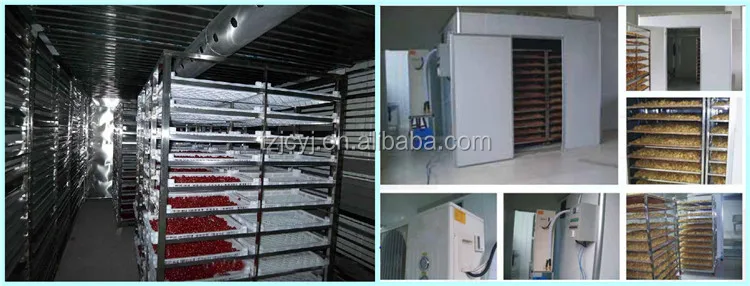 fruit drying machine (10).jpg
