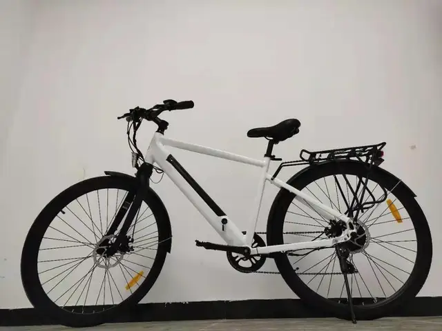 petrigo electric bike reviews