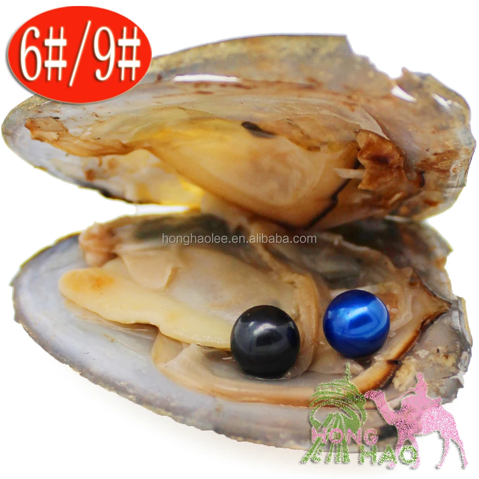

Japan Akoya Freshwater Culture Love Pearl AAAA 6-7mm 28 Color Twin Pearl Triangle Belloy Shell Vacuum Package