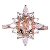 Luxury Style Snowflake Shaped Full Crystal Zircon Rings For Women Wedding Jewelry HS-CS-B2485