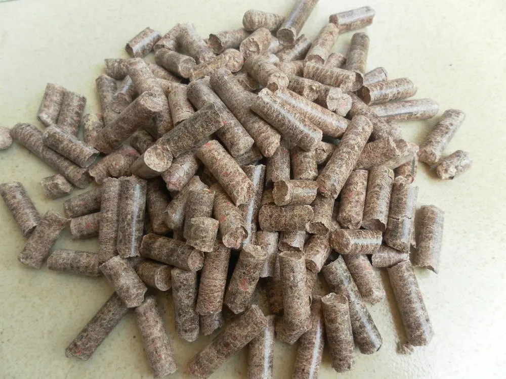 Germany Technology Vertical Ring Die Pellet Mill Wood Pellet