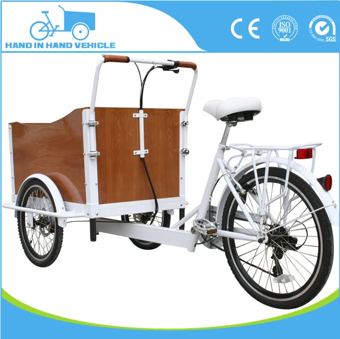 Three Wheel Electric Dutch Adult Tricycle Family Cargo Bike Trike For