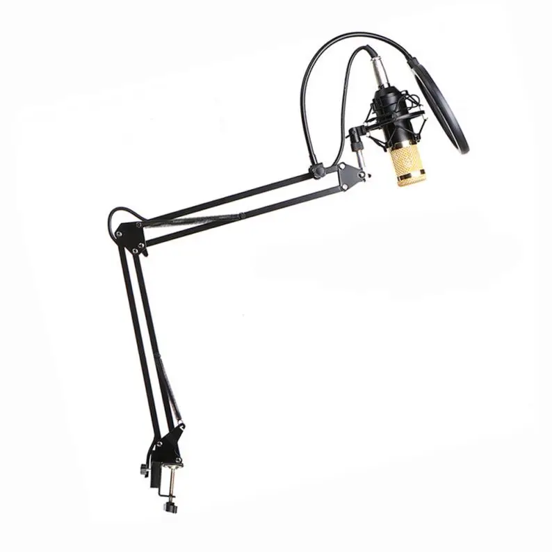 

Top Quality Condenser Microphone Nw800, Black/silver/custom