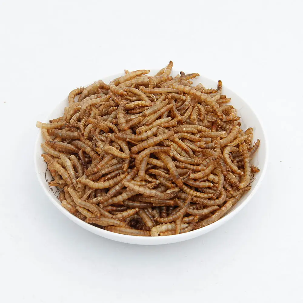 wholesale top quality dried mealworms