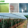 Best sell good quality with logical price fruit tree protect