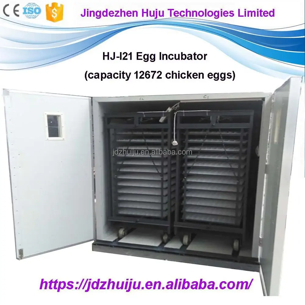 98% High Hatching Rate 9000 Duck Eggs Large Chicken Egg ...