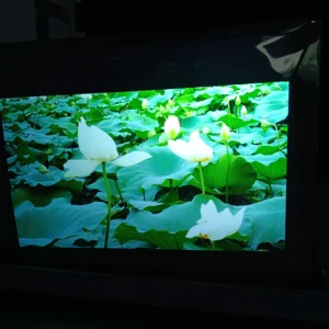 glass window advertising adhesive holographic transparent rear projection film