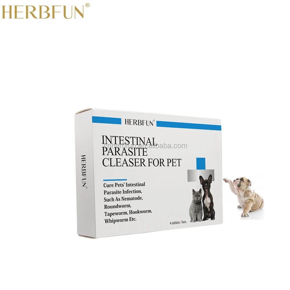 
Pet Intestinal Parasites and Endoparasites Medicine for Dog and Cat 