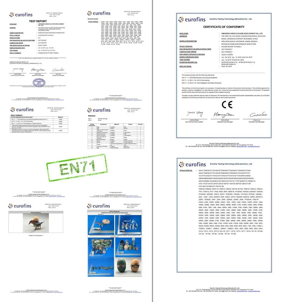 certification dinosaur egg.jpg