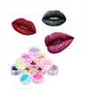 Wholesale High Quality Lip Glitter Kit for Lip Gloss