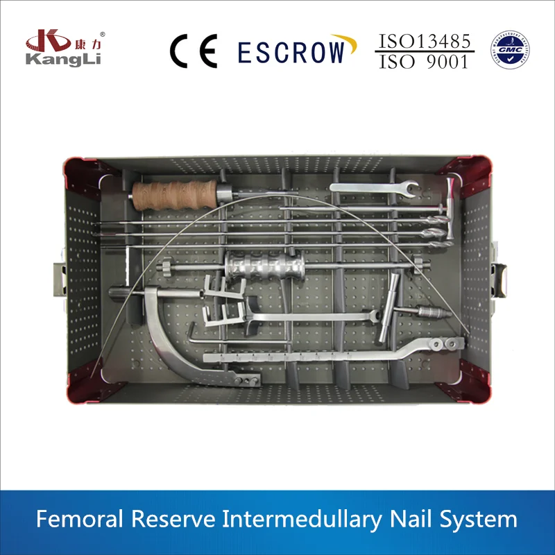 Femoral Reserve Intermedullary Nail System 2.png