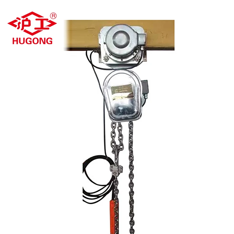 5t Lifting Hoist Crane Stainless Steel Electric Chain Hoist For Sale