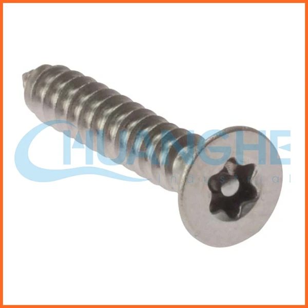 Torx screw m8 x 20, 250000740. Torx screw. Болт торкс. Болт torx m8 50mm. Винт m8x50 karcher.