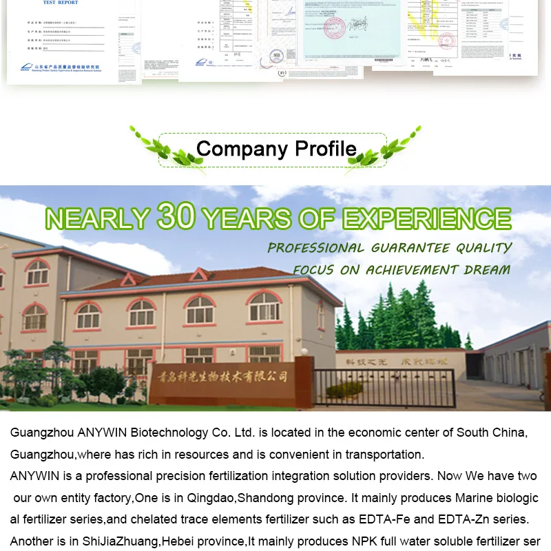 FO202-Detail-171118_09